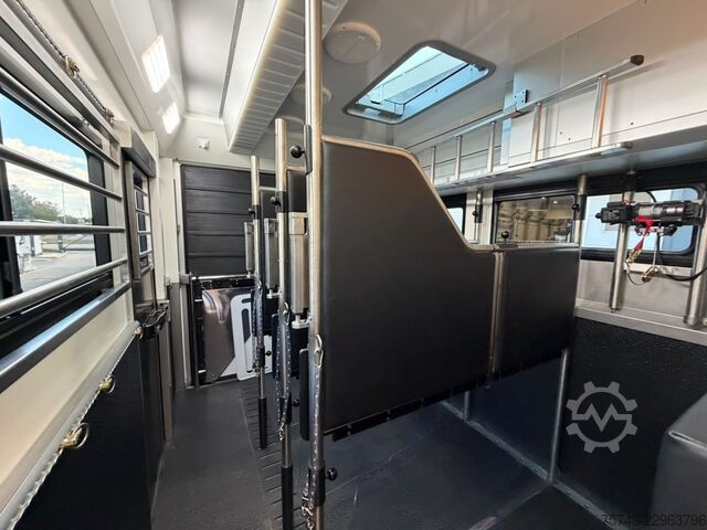 Pferdeanhänger  STX Trailer  4 Pferde Wohnung, Dusche, Neu