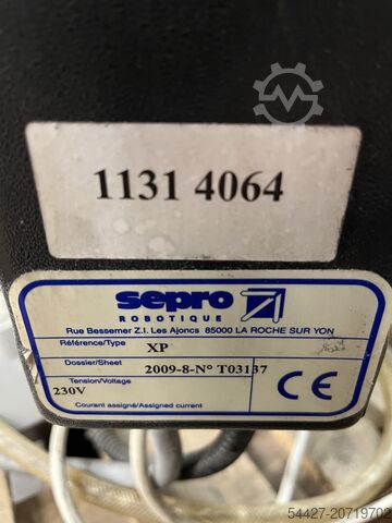 Linearroboter SEPRO XP
