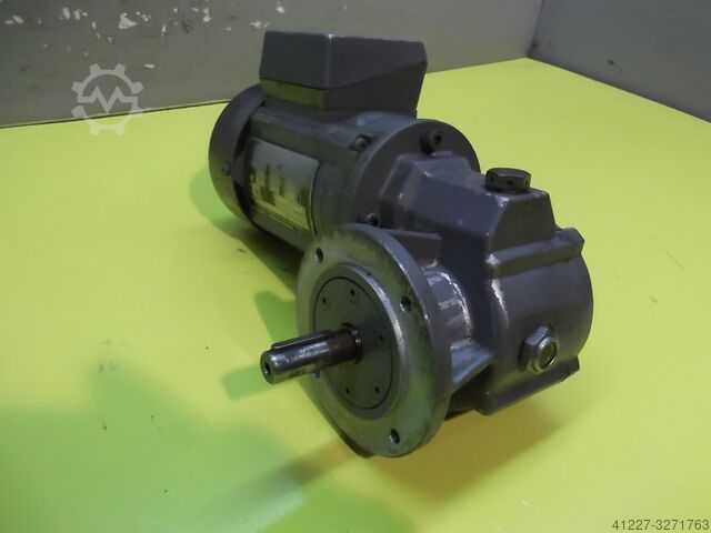 Geared motor 0.045 kW 19 rpm Zürrer PFV45/44-1/1FL