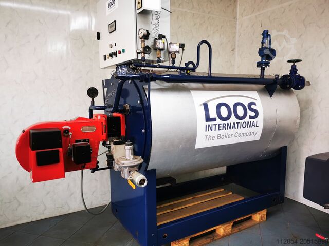 Steam generator LOOS DF 1000