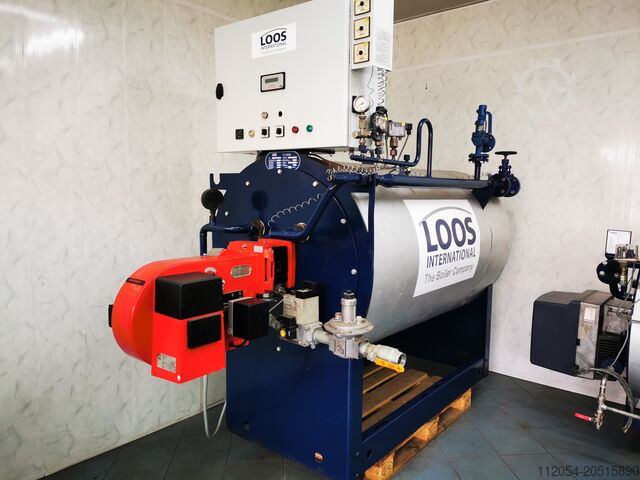 Steam generator LOOS DF 1000