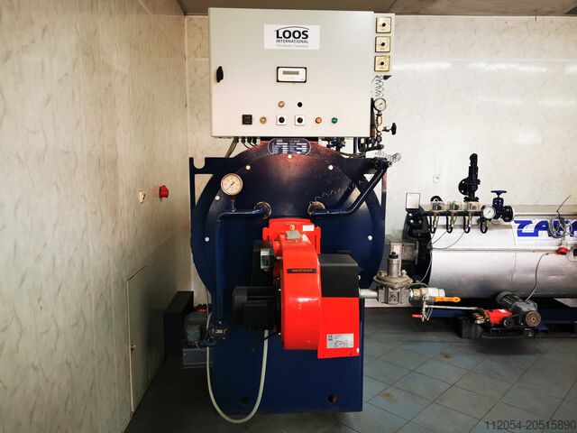 Steam generator LOOS DF 1000