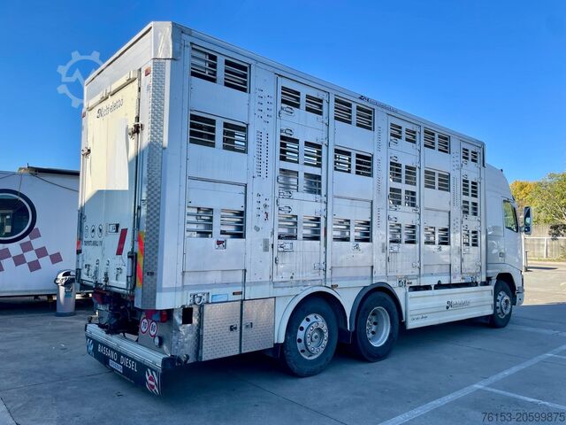 Livestock truck Volvo FH 12 460