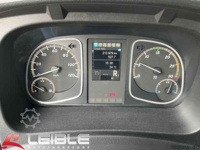 Skip truck MERCEDES-BENZ Atego 1630L*Gergen Teleskop*Kamera*Fernbedienung