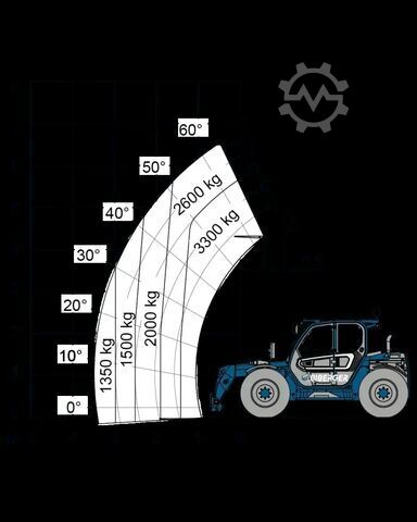 Telehandler Fixed Merlo TF 33.7-115L