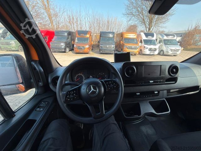 Viehtransporter MERCEDES-BENZ 316  Sprinter  3.500KG  Kastenwagen