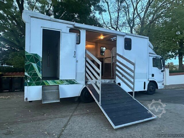 Van MAN TGL 8180 3-4 Pferde