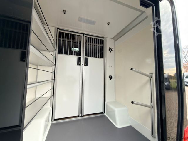 Livestock transporter MERCEDES-BENZ STX Sprinter  GG 4,100KG  Haras Hengste