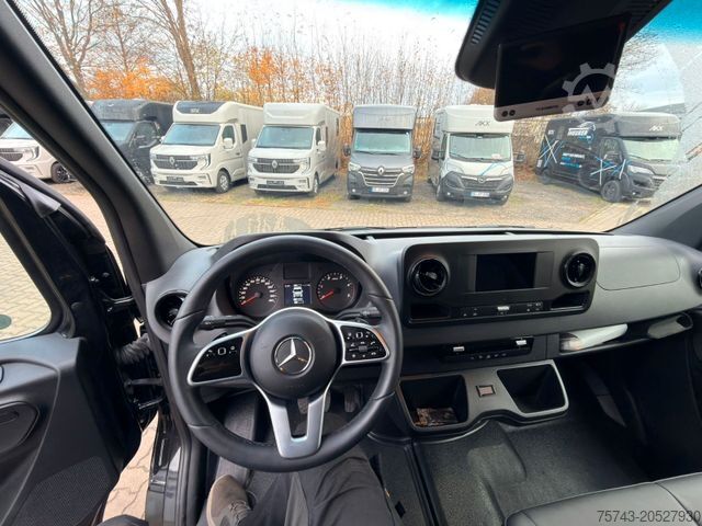 Livestock transporter MERCEDES-BENZ STX Sprinter  GG 4,100KG  Haras Hengste