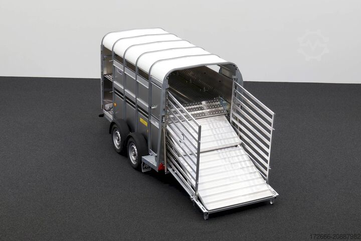 Viehanhänger Ifor Williams TA5|10x6|DOPPELSTOCK 311X156X183CM