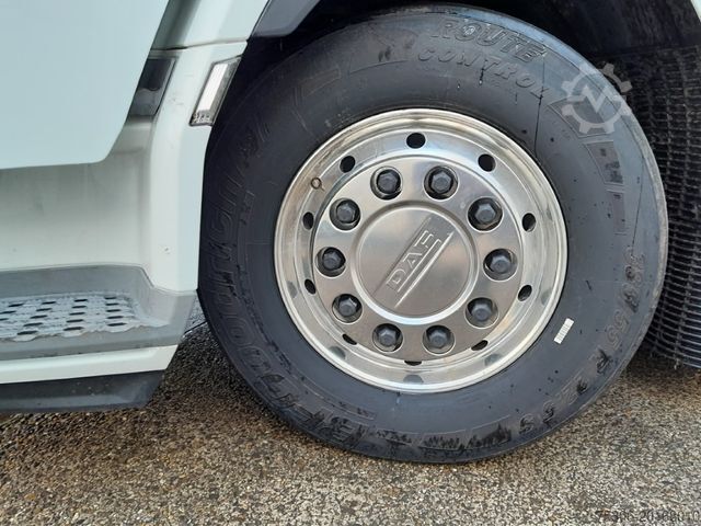 Standard tractor unit DAF FT XG+ 530