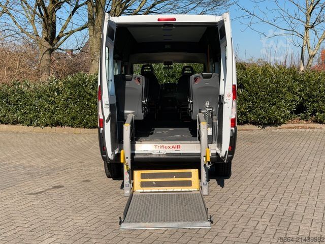 Minibus FIAT Ducato 3.0 CNG/Erdgas 9 Sitze Schiebetür Klima