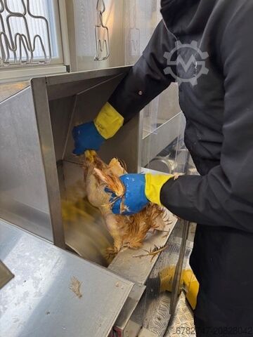 Mobiles Schlachthaus für Geflügel FAZA MOBILE SLAUGHTERHOUSE COMPACT MODEL M6