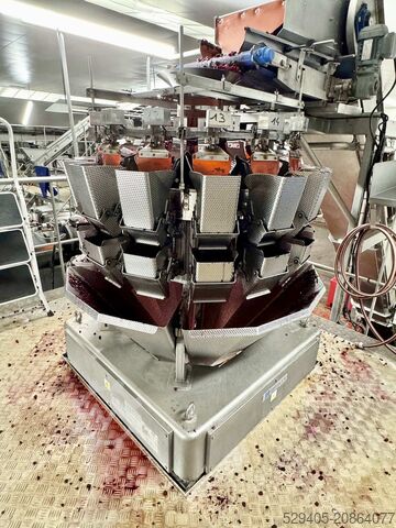 Multihead weigher Ishida CCW-M-214W-S/30-WP