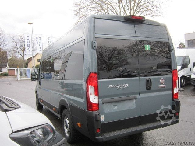 Minibus Fiat Minibus 16+ 1 Sitzer
