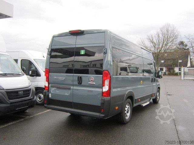 Minibus Fiat Minibus 16+ 1 Sitzer