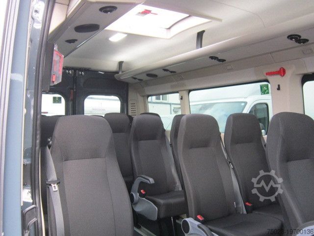 Minibus Fiat Minibus 16+ 1 Sitzer