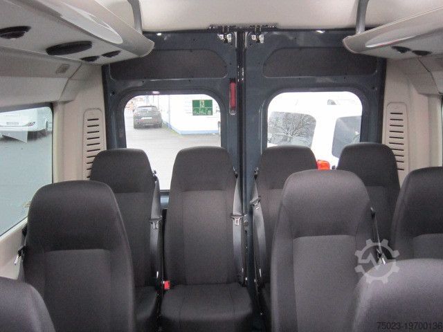 Minibus Fiat Minibus 16+ 1 Sitzer