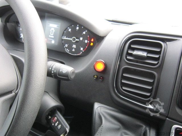 Minibus Fiat Minibus 16+ 1 Sitzer