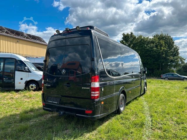 Kleinbus MERCEDES-BENZ Sprinter 519 ToJo - Rampe - Schienensystem