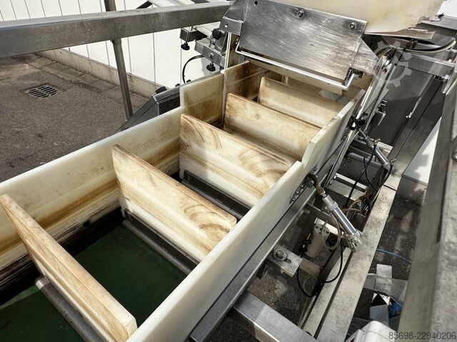 Newtec NBM 50 denester and punnet filler NEWTEC NBM 50