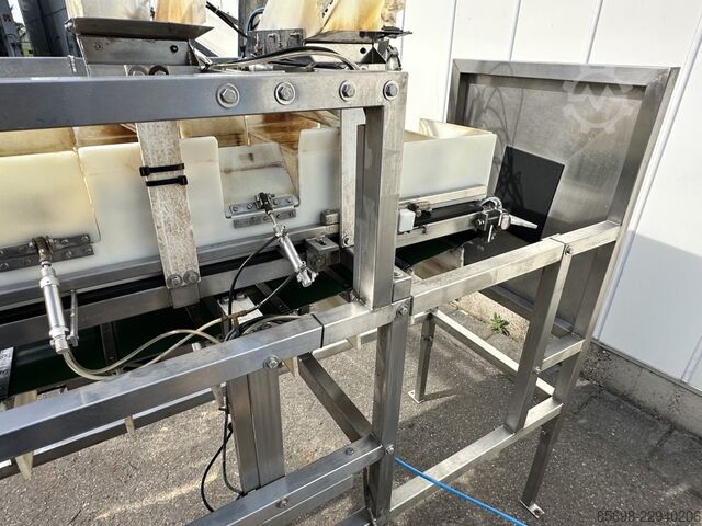 Newtec NBM 50 denester and punnet filler NEWTEC NBM 50