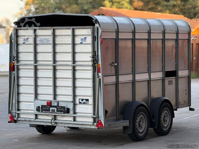 Pferdeanhänger IFOR WILLIAMS SB 2 TA35 PKW Tandem Viehanhänger