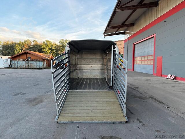 Pferdeanhänger IFOR WILLIAMS SB 2 TA35 PKW Tandem Viehanhänger