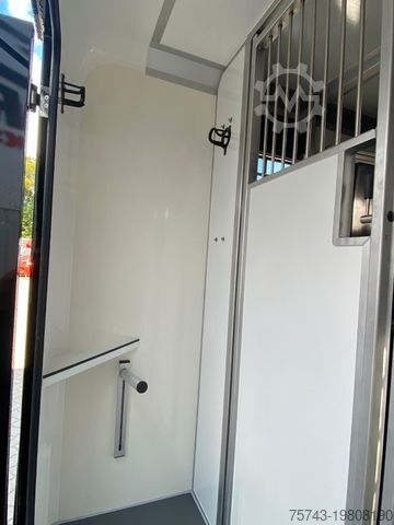 Viehtransporter RENAULT MASTER STX NEW MODELL  2025 5 Sitzer Haras ex. L