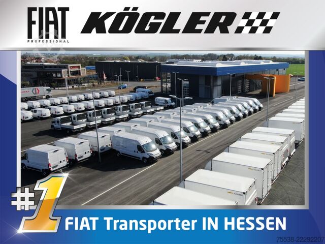 Panel van Fiat Ducato