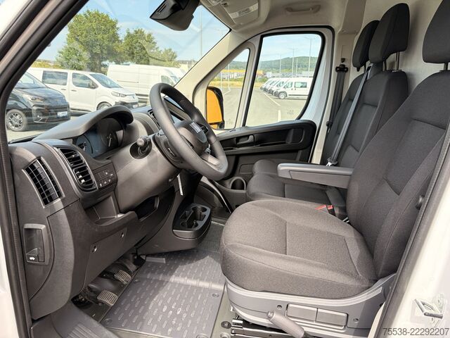 Panel van Fiat Ducato