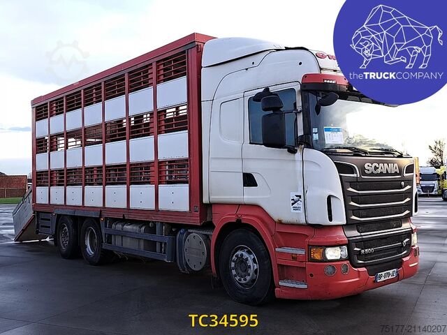 Viehtransport Scania R 500