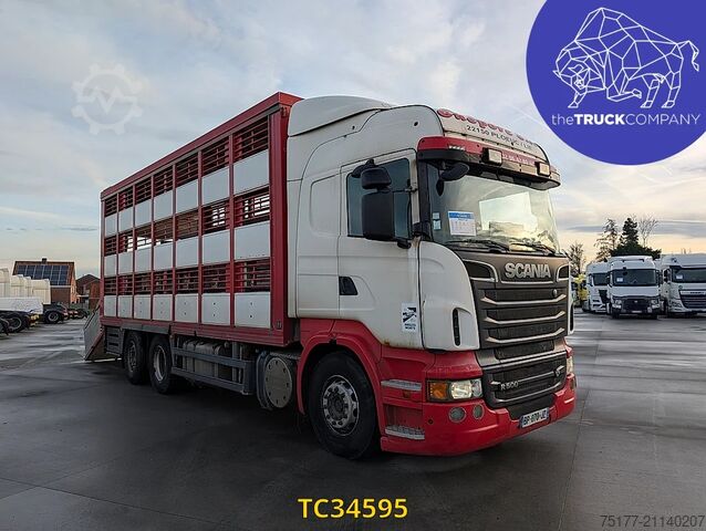 Viehtransport Scania R 500