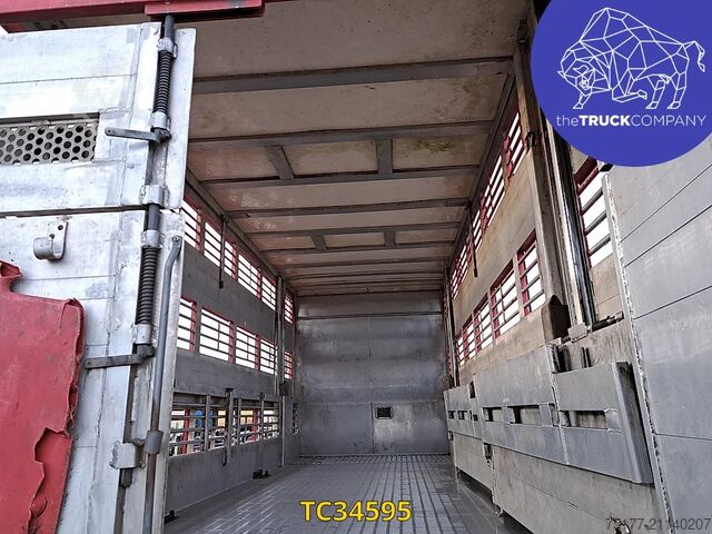 Viehtransport Scania R 500