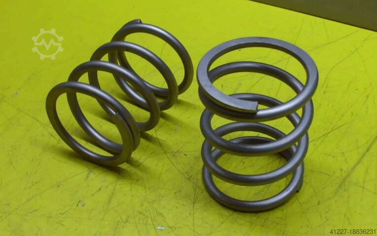 Coil spring GSL 80/110/7 mm