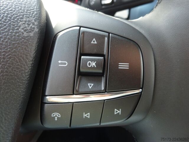 Panel van FORD Transit Courier Active Kasten AHK WiPa 2xS-Tür