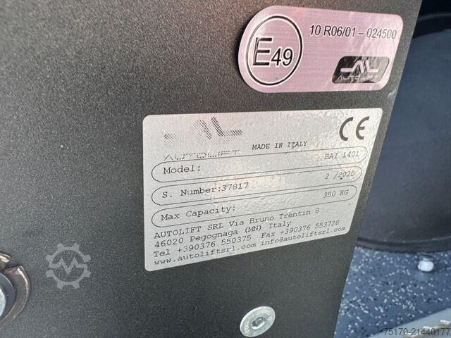 Minibus Mercedes-Benz Sprinter 317 CDI Rollstuhl/Behinderten Lift