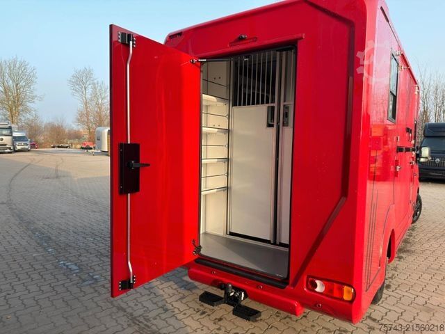 Viehtransporter RENAULT MASTER AKX NEW MODELL  2025 5 Sitzer Haras ex. L