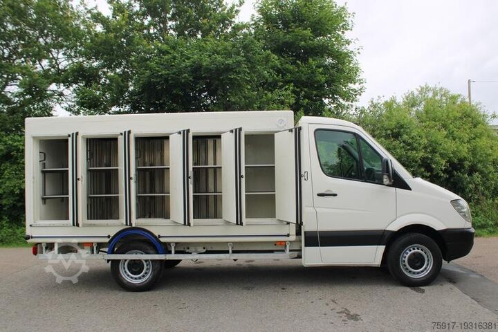 Refrigerator body van MERCEDES-BENZ Sprinter310 -33 °C 5+5 Türen Euro 5