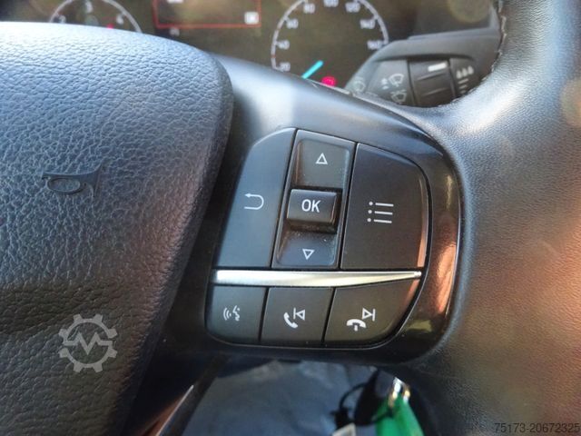 High top van FORD Transit Kasten 350 L4H3 Trend 170PS