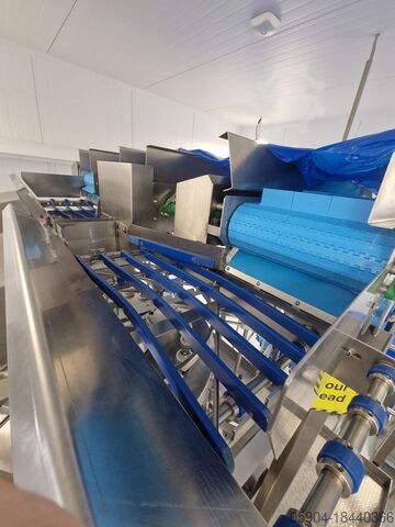 Mehrkopfwaage und Beutelbeutellinie Multihead Weigher & Pouch Bagging Line