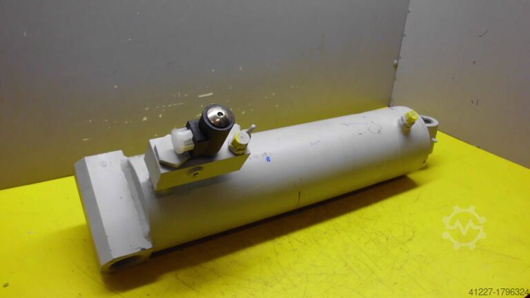 Hydraulikzylinder GSL German Standard Lift D120050AAV10385