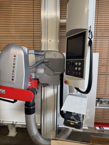 Vertical panel saw Striebig Control 6224 mit Expert Cut