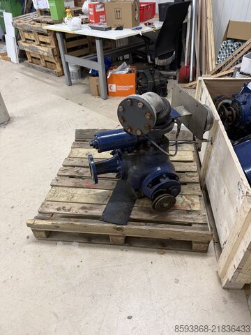 Pumps BORNEMANN 