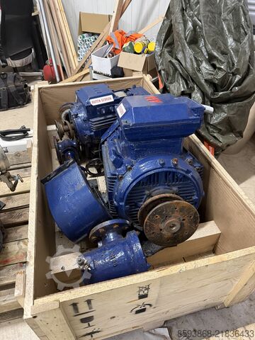 Pumps BORNEMANN 