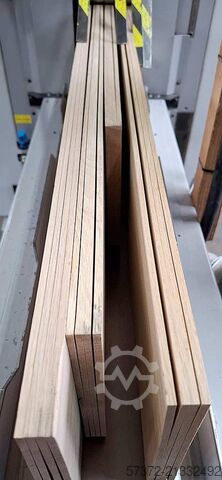 Dünnschnitt-Gattersäge Neva Orbit Plus 350