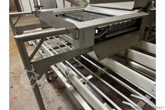 Potato chips sizer Heat and Control RCS