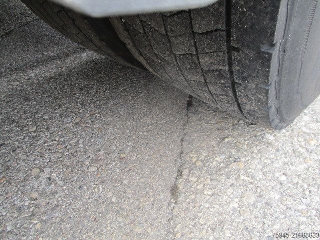 Standard SZM MAN TGX 18.460 XLX, Standklima, Retarder, TÜV04/2026