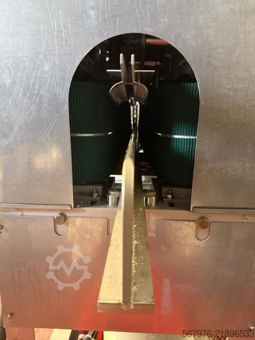 Fish processing machine Tsunezawa Group TAF-BG Filleting Machine