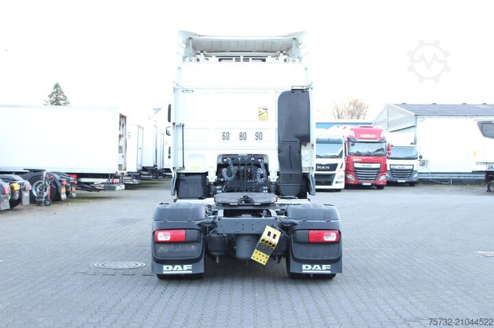 Standard SZM Daf XF  480 SC Retarder   Standklima  Kühlbox